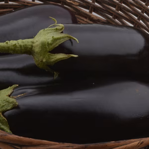 Eggplant/Bringal