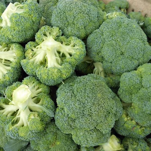 Broccoli