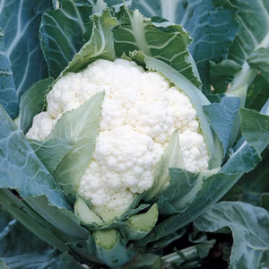 Cauliflower