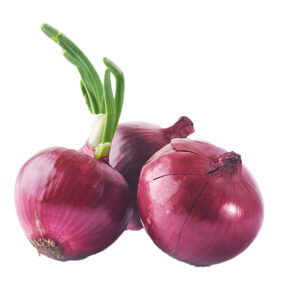 Rustic Bronze Watch Onion