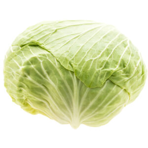 Cabbage