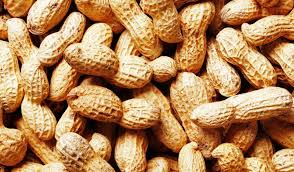 Grondbone / Groundnuts seed- 25kgs