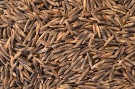 Oats Black - per 25 kg