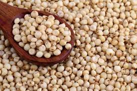 Sweet White Sorghum (Macia) - per 25 kg