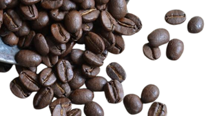 Blue Mountain Coffee Beans - per kg