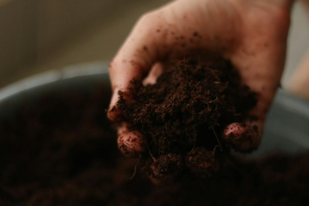 Hands holding soil