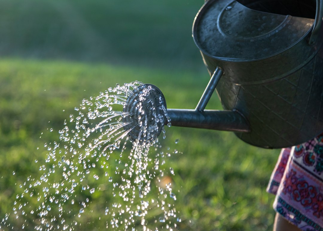 Watering plants in a garden