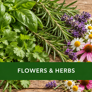 Germinico flowers and herbs range